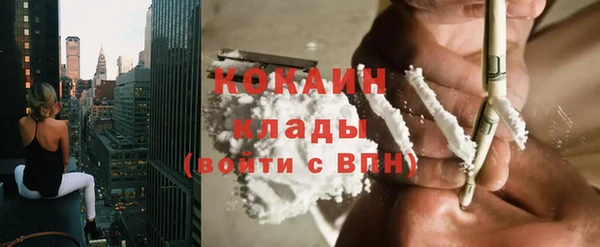 мяу мяу мука Каменка