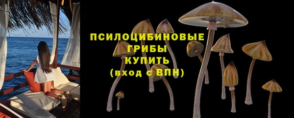 мет Каменногорск