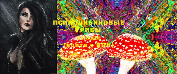 мяу мяу мука Каменка