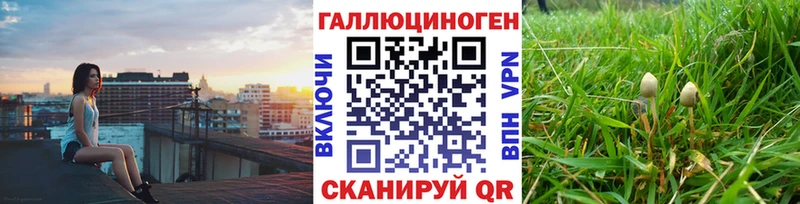 Галлюциногенные грибы мухоморы  Купить  Горно-Алтайск 